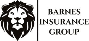 Barnes Insurance Group - Logo 800