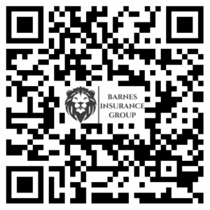 BIG QR code